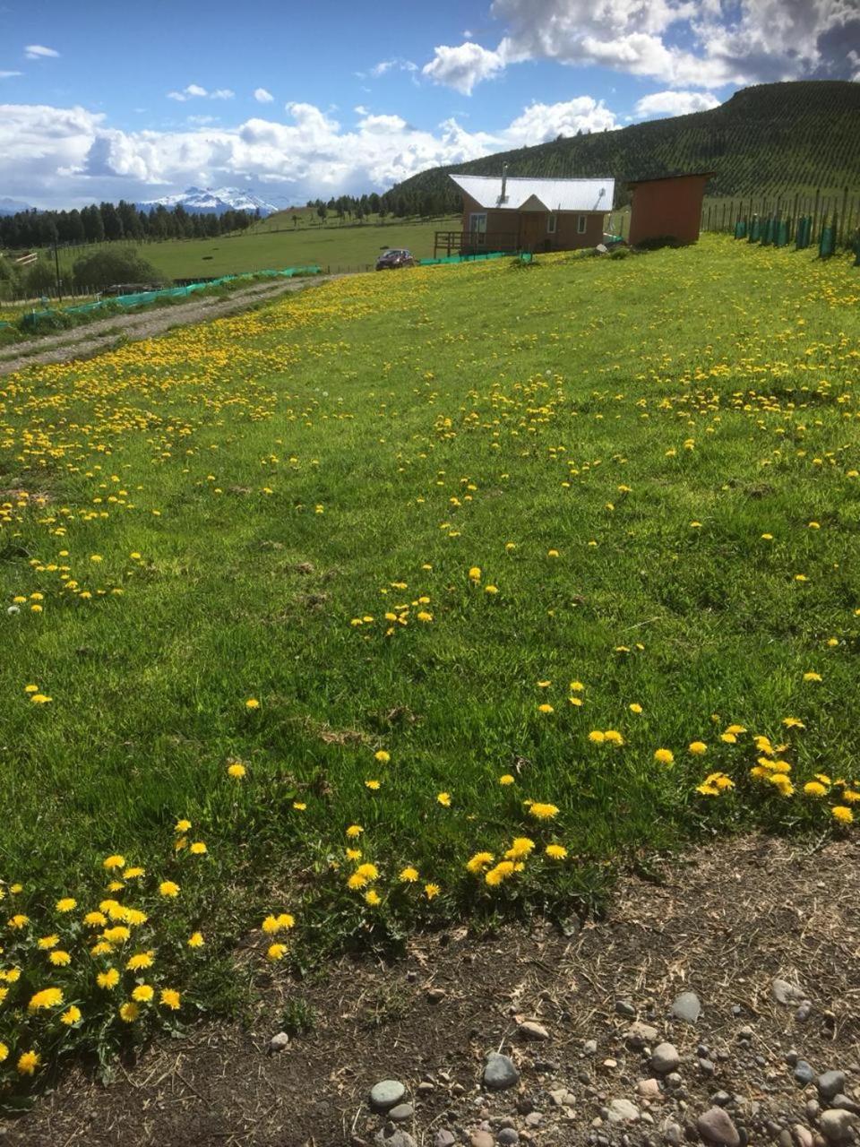 Country house Ventisca Sur Coyhaique